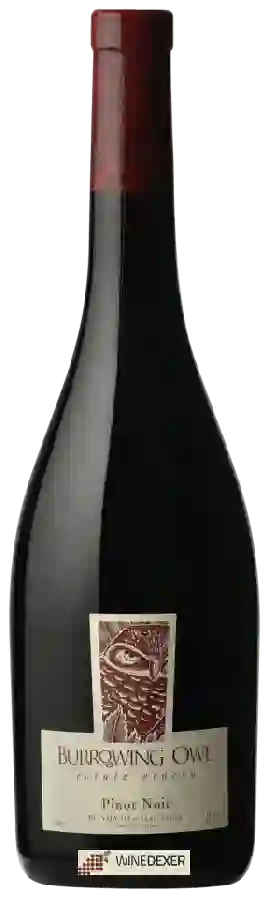 Winery Burrowing Owl - Pinot Noir