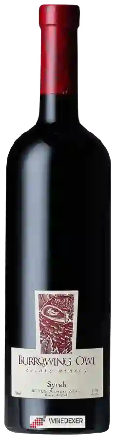 Winery Burrowing Owl - Syrah