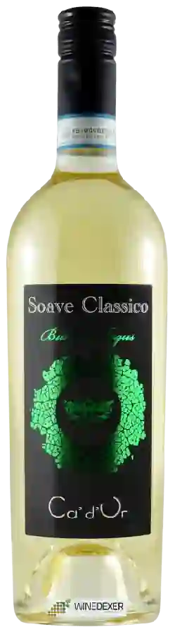 Winery Ca’ d’Or - Soave Classico