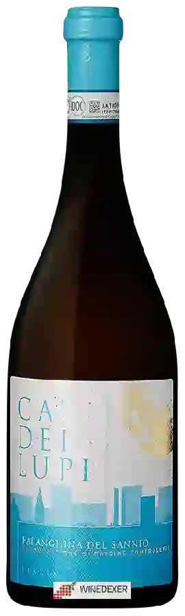 Winery Ca' dei Lupi - Falanghina del Sannio
