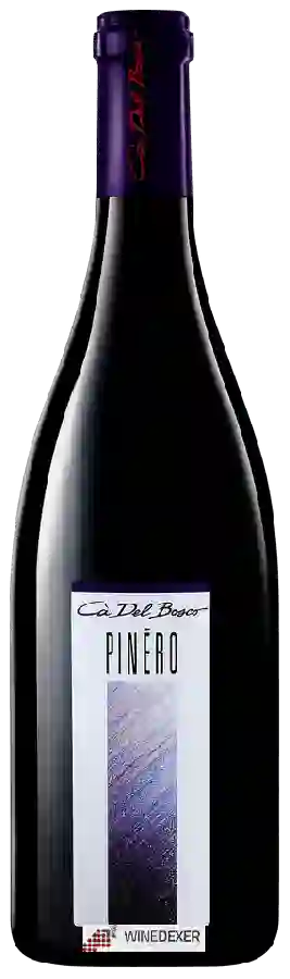 Winery Ca' del Bosco - Pinéro