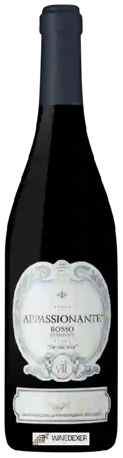 Winery Ca' del Sette - Appassionante Red