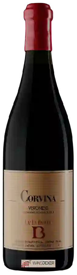 Winery Ca La Bionda - Corvina Veronese