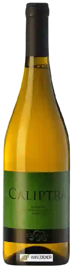 Winery Ca'Liptra - Caliptra Bianco