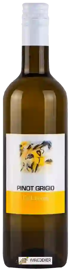 Winery Ca'Livenza - Pinot Grigio Winery Ca'Livenza - Pinot Grigio