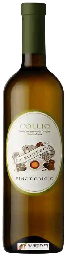 Winery Ca' Ronesca - Pinot Grigio