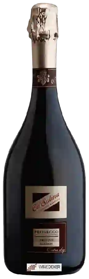 Winery Ca'Salina - Prosecco Treviso Millesimato Extra Dry