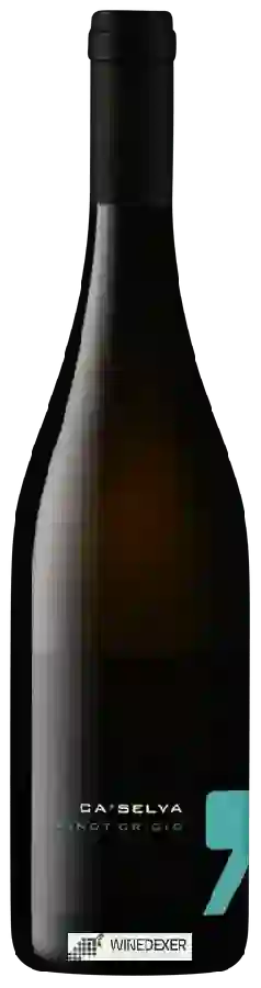 Winery Ca' Selva - Pinot Grigio Winery Ca' Selva - Pinot Grigio