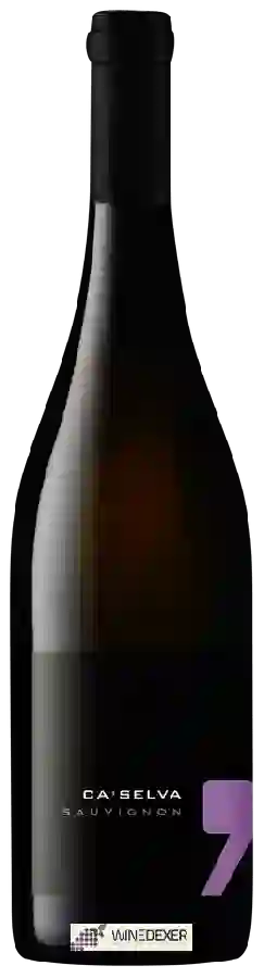 Winery Ca' Selva - Sauvignon