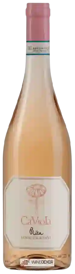 Winery Ca'Viola - Rita Langhe Rosato