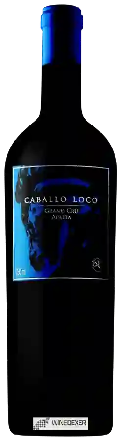 Winery Caballo Loco - Grand Cru Apalta