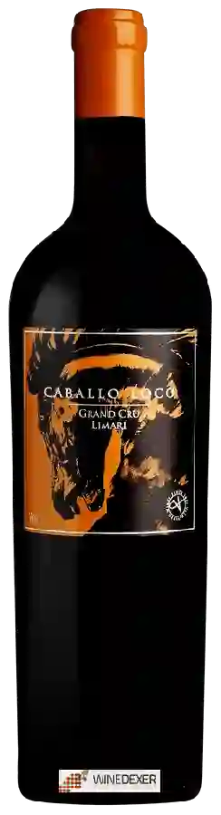 Winery Caballo Loco - Grand Cru Limarí