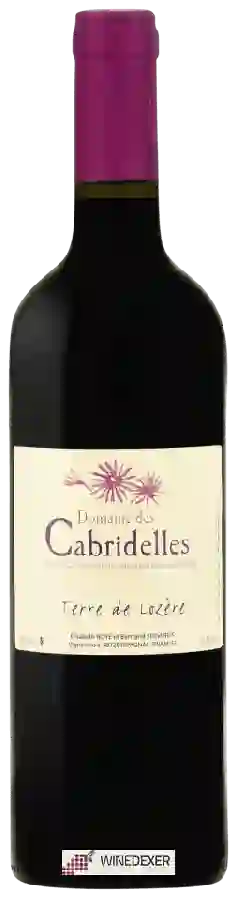 Winery Cabridelles - Terre de Lozère