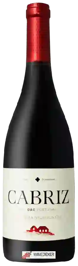Winery Cabriz - Colheita Seleccionada Tinto Winery Cabriz - Colheita Seleccionada Tinto