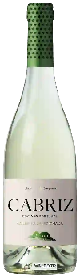 Winery Cabriz - D&atildeo Colheita Seleccionada White