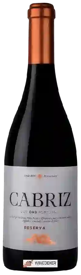 Winery Cabriz - D&atildeo Reserva