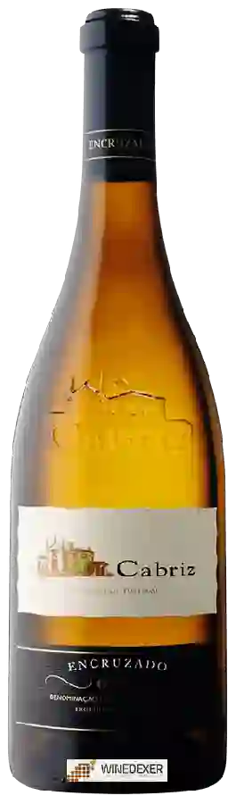 Winery Cabriz - Encruzado Dão Winery Cabriz - Encruzado Dão