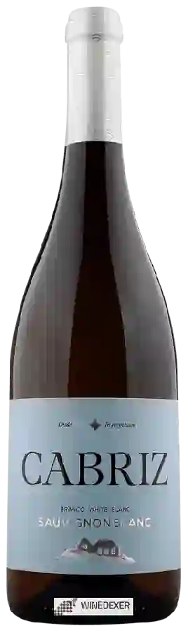 Winery Cabriz - Sauvignon Blanc