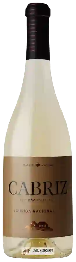Winery Cabriz - Touriga Nacional Branco