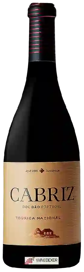 Winery Cabriz - Touriga Nacional D&atildeo