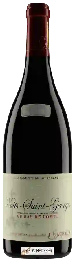 Winery Jacques Cacheux - Au Bas de Combe Nuits-Saint-Georges Winery Jacques Cacheux - Au Bas de Combe Nuits-Saint-Georges