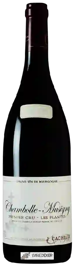 Winery Jacques Cacheux - Chambolle-Musigny Premier Cru 'Les Plantes' Winery Jacques Cacheux - Chambolle-Musigny Premier Cru 'Les Plantes'