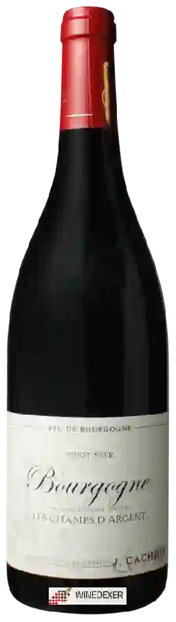 Winery Jacques Cacheux - Les Champs d'Argent Bourgogne