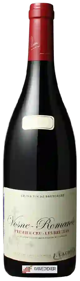 Winery Jacques Cacheux - Vosne-Romanée Les Brulées Premier Cru