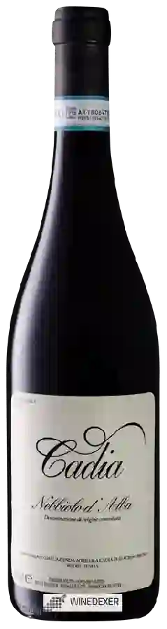 Winery Cadia - Nebbiolo d'Alba Winery Cadia - Nebbiolo d'Alba