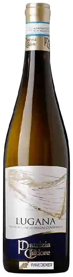 Winery Patrizia Cadore - Lugana Winery Patrizia Cadore - Lugana