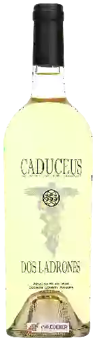 Winery Caduceus - Dos Ladrones