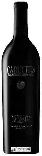 Winery Caduceus - Nagual de La Paciencia