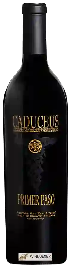 Winery Caduceus - Primer Paso Winery Caduceus - Primer Paso