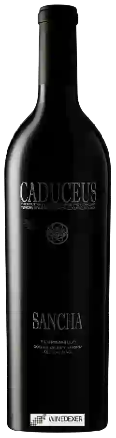 Winery Caduceus - Sancha