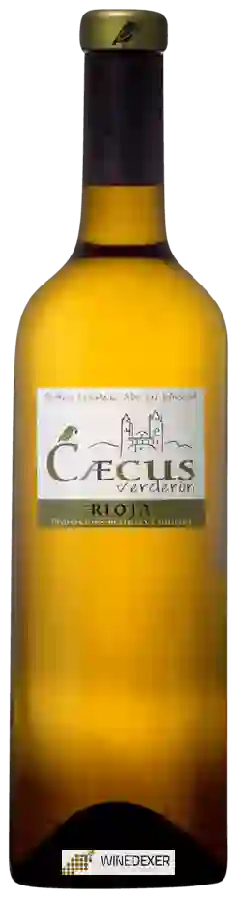 Winery Pago de Larrea - Cæcus Verderon