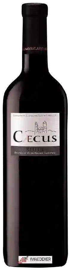 Winery Pago de Larrea - Cæcus