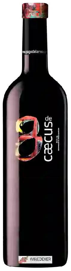 Winery Pago de Larrea - 8 de Cæcus