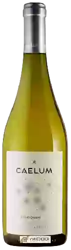 Winery Caelum - Chardonnay