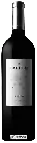Winery Caelum - Malbec
