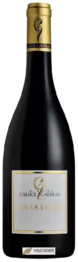 Winery Cailhol Gautran - Villa Lucia Rouge