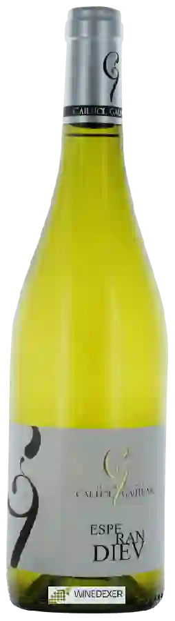Winery Cailhol Gautran - Esperandieu Winery Cailhol Gautran - Esperandieu