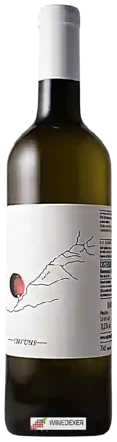 Winery Cal Cabo - Curvus Blanc Winery Cal Cabo - Curvus Blanc