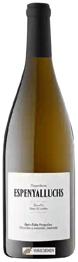 Winery Enric Soler - Espenyalluchs