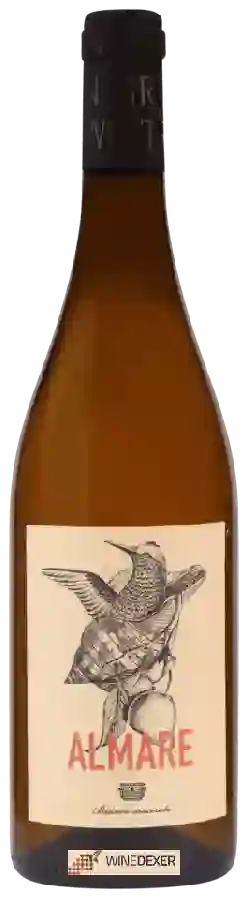 Winery Calafata - Almare