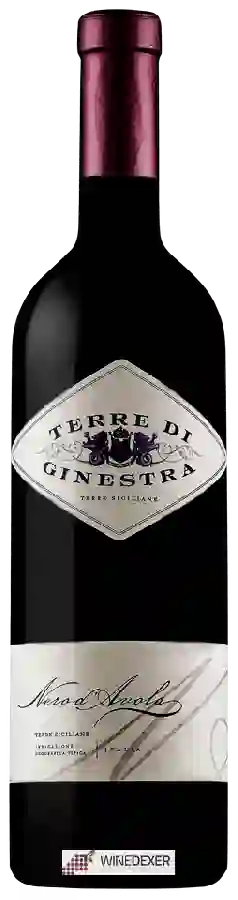 Winery Calatrasi - Terre di Ginestra Nero d'Avola