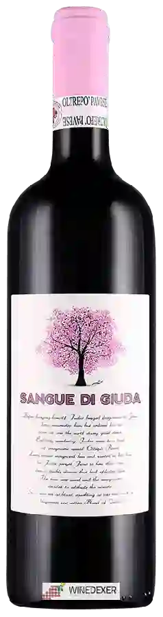 Winery Calatroni - Sangue di Giuda Winery Calatroni - Sangue di Giuda