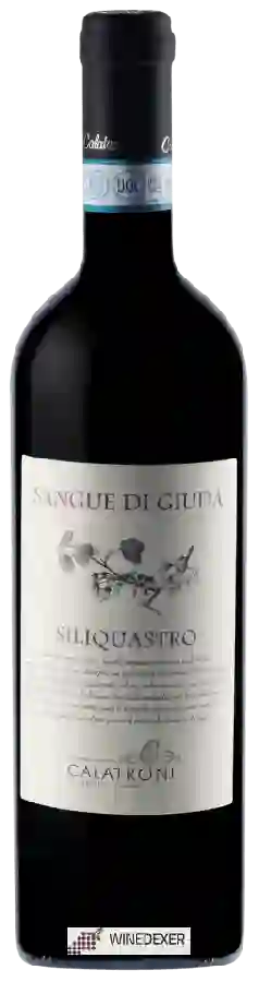 Winery Calatroni - Siliquastro Sangue di Giuda