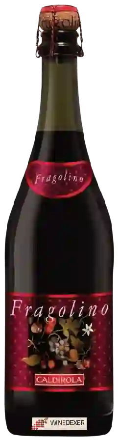 Winery Caldirola - Fragolino Winery Caldirola - Fragolino