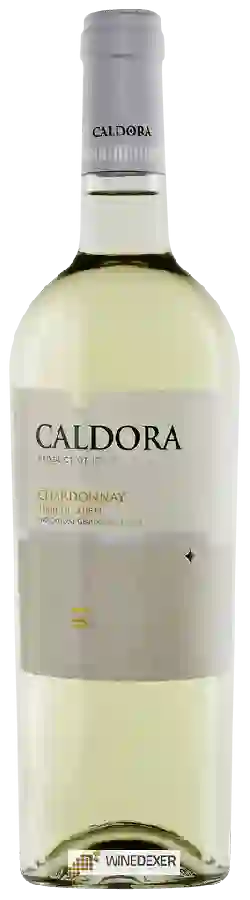 Winery Caldora - Chardonnay Terre Di Chieti