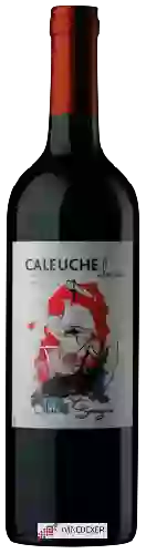 Winery Caleuche - Classic Cabernet Sauvignon